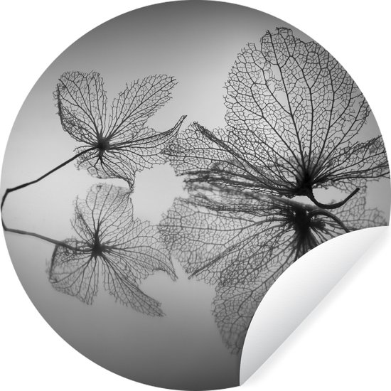 WallCircle - Stickers muraux - Cercle de papier peint - Feuilles - Nature morte - Automne - 80x80 cm - Cercle mural - Autocollant - Sticker papier peint rond