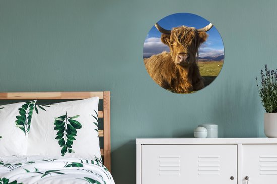 WallCircle - Stickers muraux muraux - Cercle de papier peint - Highlander écossais - Animaux - Herbe - 50x50 cm - Cercle mural - Autocollant - Autocollant de papier peint rond