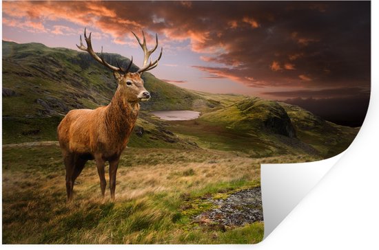 Stickers muraux - Film autocollant - Cerf - Berg - Nature - 120x80 cm - Film adhésif - Stickers muraux Chambre d'enfant - Papier peint autocollant - Papier peint autocollant - Film autocollant