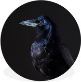 WallCircle - Wall Circle - Wall Circle Indoor - Vogel - Animaux - Zwart - 150x150 cm - Décoration murale - Peintures Ronds