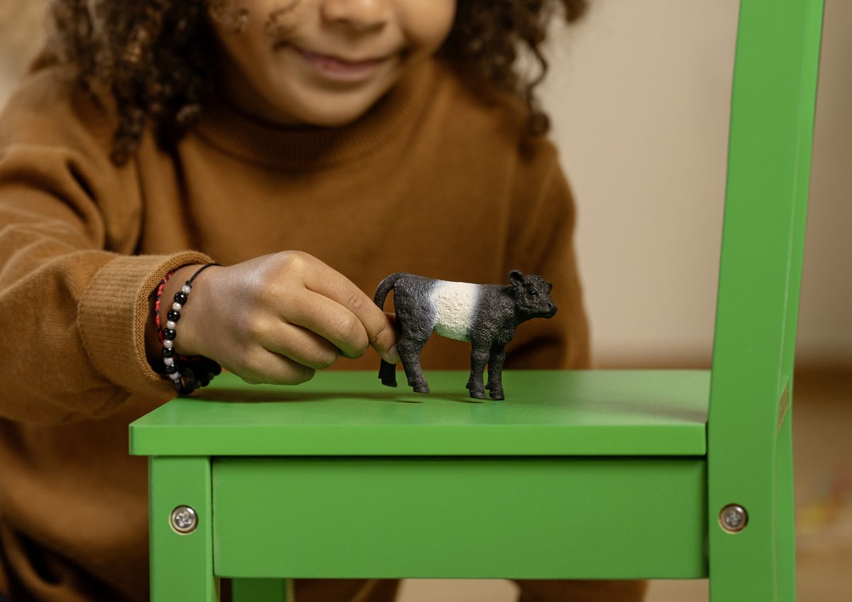schleich 13969 Veau Galloway, dès 3 ans, FARM WORLD - figurine, 3 x 8 x 6 cm