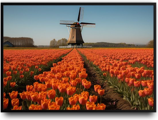 Tulpenveld met molen fotolijst met glas 30 x 40 cm - Prachtige kwaliteit - Woonkamer - Slaapkamer - Nederland - Harde lijst - Glazen plaat - inclusief ophangsysteem - Grappige Poster - Foto op hoge kwaliteit uitgeprint