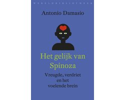 Omslag van Het gelijk van Spinoza