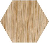 Wecolour Haarverf - Zeer lichtblond 10.01 - Kapperskwaliteit Haarkleuring