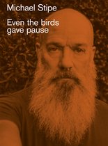Michael Stipe: Even the birds gave pause