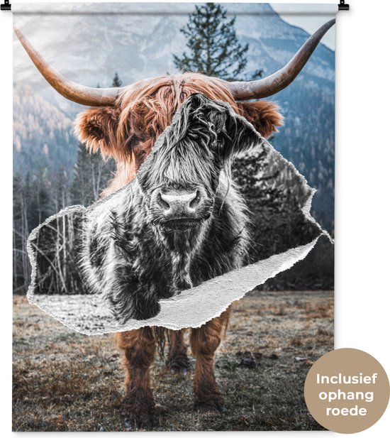 Tenture murale - Tissu mural - Highlander écossais - Animaux - Zwart - Wit - 120x160 cm - Tapisserie murale