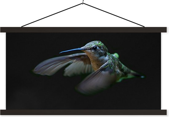 Porte-affiche avec affiche - Affiche scolaire - Colibri - Vogel - Ressorts - Zwart - 90x45 cm - Lattes noires