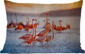 Buitenkussens - Tuin - Flamingo - Dieren - Water - Roze - 50x30 cm