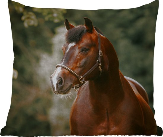 Sierkussen Buiten - Paard - Takken - Portret - 60x60 cm - Weerbestendig