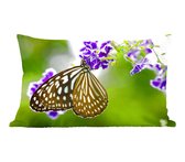 Sierkussens - Kussentjes Woonkamer - 50x30 cm - Lavendel - Vlinder - Botanisch