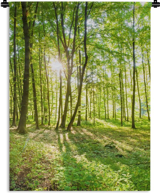 Wandkleed - Wanddoek - Natuur - Bomen - Bos - Groen - Zonlicht - 120x160 cm - Wandtapijt