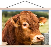 Posterhanger incl. Poster 40x30 cm - Schoolplaat - Schotse Hooglander - Berg - Hek - Textielposter - Blanke latten
