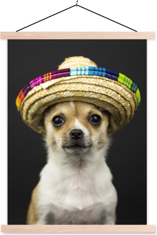 Posterhanger incl. Poster 40x53 cm - Schoolplaat - Hond - Sombrero - Zwart - Textielposter - Blanke latten