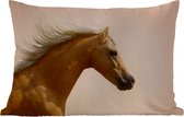 Buitenkussens - Tuin - Portret van een Welsh pony tegen een zachte achtergrond - 50x30 cm