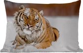 Buitenkussens - Tuin - Amur tijger in de sneeuw - 50x30 cm