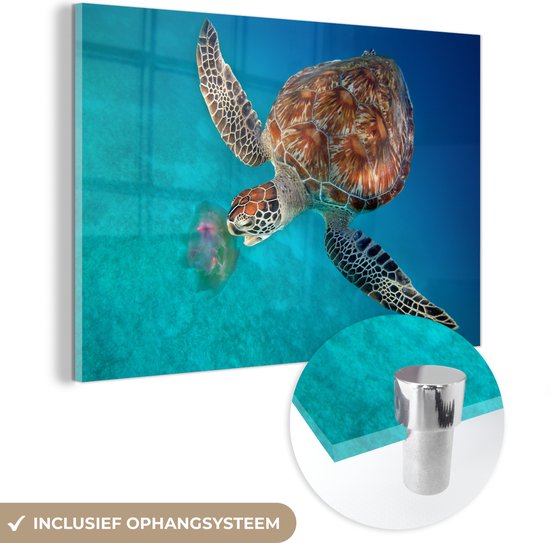 MuchoWow® Glasschilderij 30x20 cm - Schilderij acrylglas - Groene schildpad met kwal - Foto op glas - Schilderijen