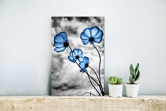 Décoration murale Métal - Aluminium - Fleurs - Blauw - Zwart - Wit - 20x30 cm