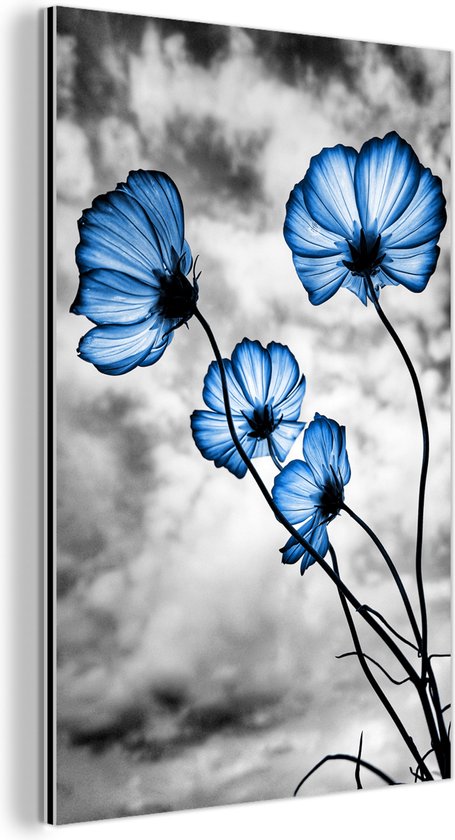 Décoration murale Métal - Aluminium - Fleurs - Blauw - Zwart - Wit - 20x30 cm