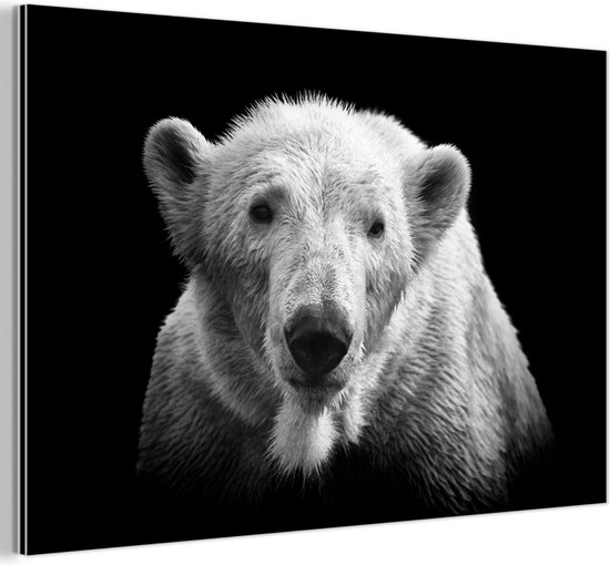 Wanddecoratie Metaal - Aluminium Schilderij Industrieel - Portretfoto ijsbeer op zwarte achtergrond in zwart-wit - 60x40 cm - Dibond - Foto op aluminium - Industriële muurdecoratie - Voor de woonkamer/slaapkamer