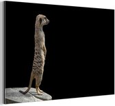Wanddecoratie Metaal - Aluminium Schilderij Industrieel - Stokstaartje - Wilde dieren - Zwart - 90x60 cm - Dibond - Foto op aluminium - Industriële muurdecoratie - Voor de woonkamer/slaapkamer