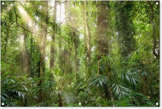 Tuinposter Licht in het woud - 120x80 cm - Tuin
