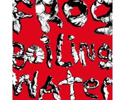 DIIV - Frog In Boiling Water (LP)