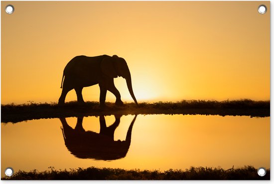Tuindecoratie Silhouet van een olifant bij zonsondergang - 60x40 cm - Tuinposter - Tuindoek - Buitenposter