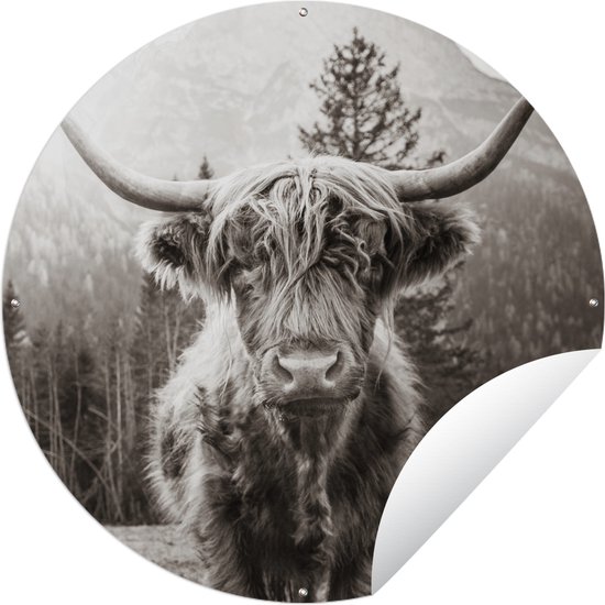 Tuincirkel Schotse hooglander - Dieren - Zwart - Wit - 90x90 cm - Ronde Tuinposter - Buiten