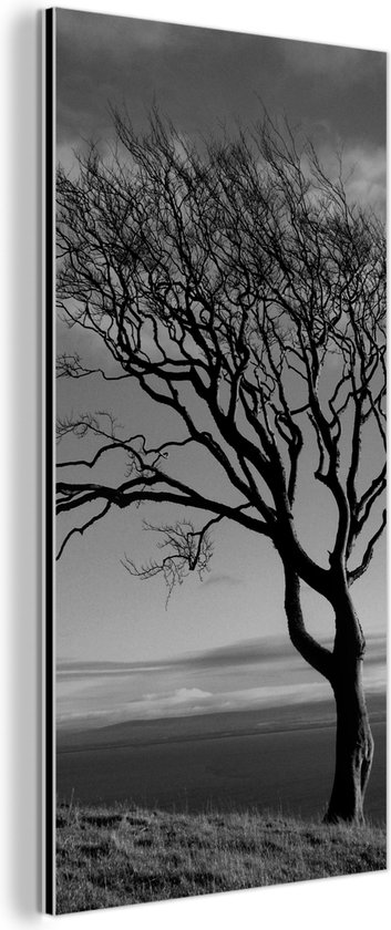 Décoration murale Métal - Peinture Aluminium Industrielle - Photo hiver hêtre noir et blanc - 80x160 cm - Dibond - Photo sur aluminium - Décoration murale industrielle - Pour le salon / chambre