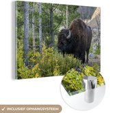 MuchoWow® Glasschilderij 180x120 cm - Schilderij acrylglas - Bizon in park van Wyoming - Foto op glas - Schilderijen