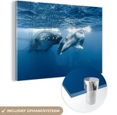 MuchoWow® Peinture sur verre 90x60 cm - Peinture sur verre acrylique - Deux baleines à bosse nageant l'une à côté de l'autre - Photo sur verre - Peintures