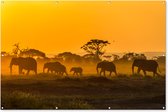 Muurdecoratie Kudde olifanten bij zonsopkomst - 180x120 cm - Tuinposter - Tuindoek - Buitenposter