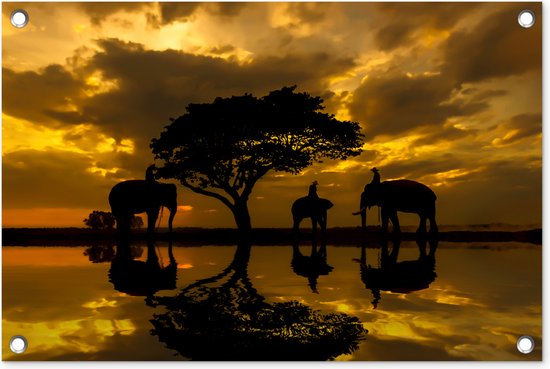 Tuindecoratie Silhouet van Thaise olifanten tijdens zonsopgang - 60x40 cm - Tuinposter - Tuindoek - Buitenposter