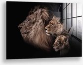 Wallfield™ - Lion Family | Glasschilderij | Gehard glas | 60 x 90 cm | Magnetisch Ophangsysteem