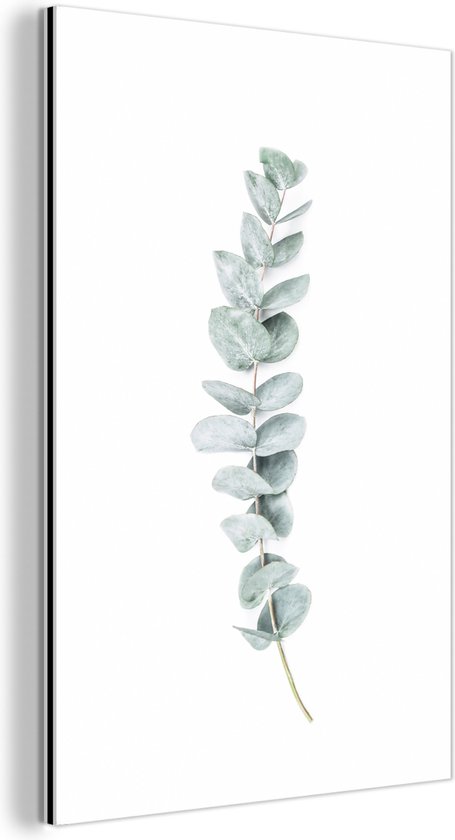Décoration murale Métal - Peinture Aluminium Industriel - Végétal - Vert - Nature - Wit - 60x90 cm - Dibond - Photo sur aluminium - Décoration murale industrielle - Pour le salon/chambre