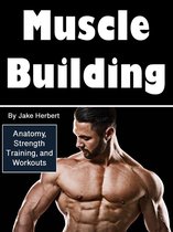 Muscle Building