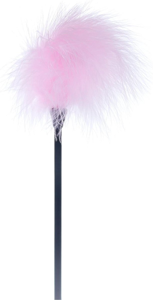 Goedkoopste Bossoftoys - 61-00028 - Feather Tickler - Fetish Power - Pink - Colour Packing