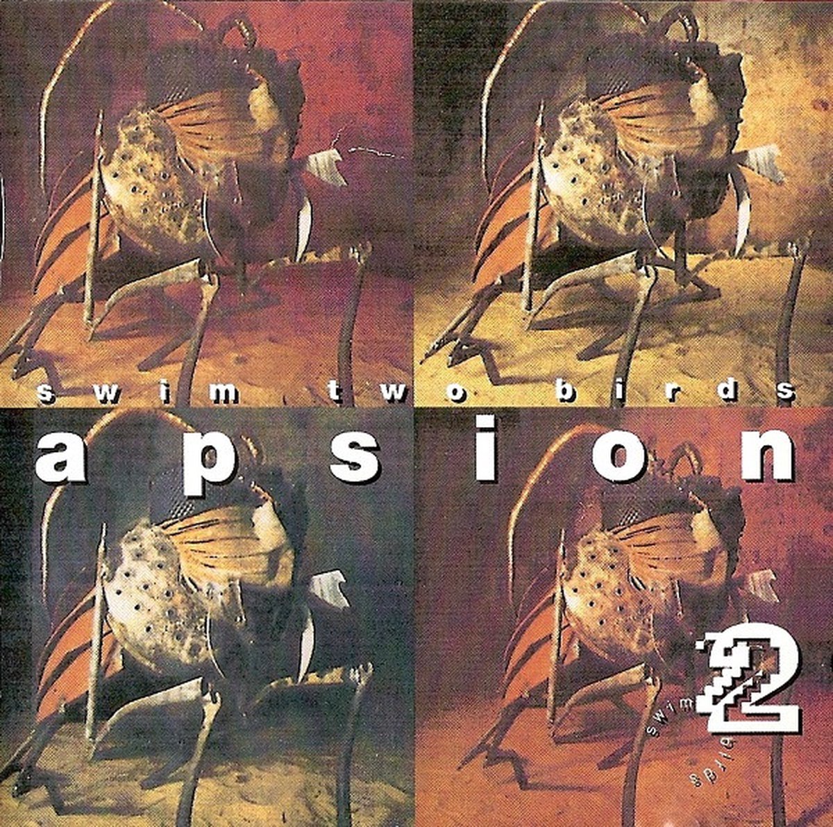 Swim Two Birds – Apsion - Cd album
