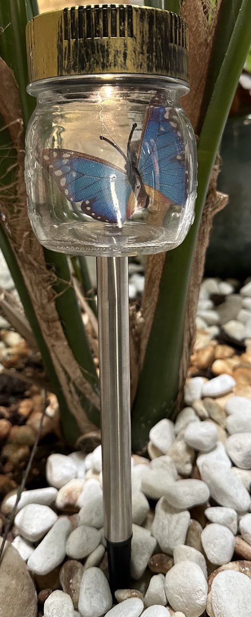Impuls Solarlamp vlinder in glazen pot op metalen tuinsteker blauwe vlinder meerkleurig met 1 LED tuinsteker hoogte 38 x 8 x 7 cm Tuindecoratie Tuinverlichting