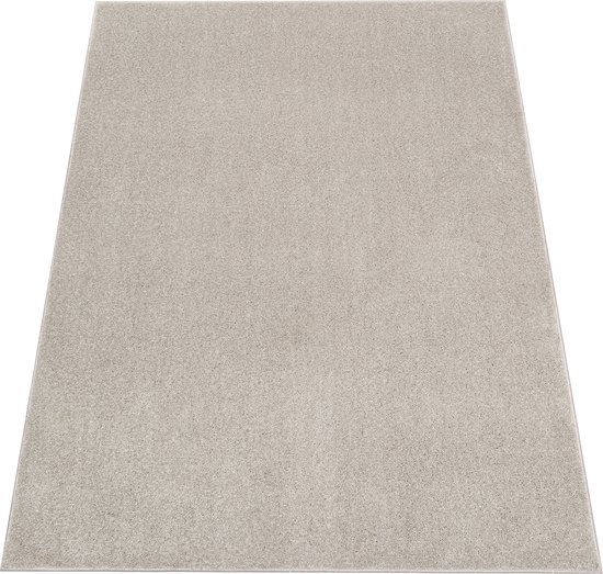 Tapiso Noyan Vloerkleed Laagpolig Woonkamer Effen Grijs Modern Slaapkamer Tapijt Maat- 80 x 150 cm
