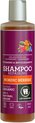Urtekram Shampoo Noordse Bes 250 ml