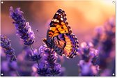 Tuinposter vlinder - Tuindecoratie lavendel paars - 120x80 cm - Bloemen poster voor in de tuin - Buiten decoratie vlinders - Schutting tuinschilderij - Tuindoek muurdecoratie - Wanddecoratie balkondoek