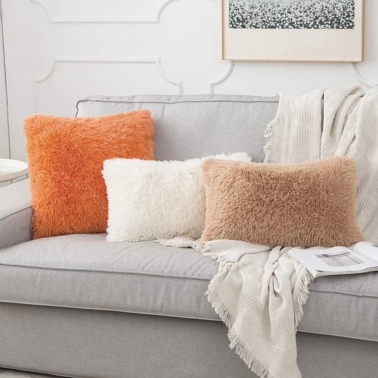Lot de 2 taies d'oreiller en Fausse Fourrure, Housses de Coussin carrées décoratives Moelleuses et Douces, Housses en Fausse Fourrure en Peluche, pour Salon canapé Chambre, 30 x 50 cm, Blanc