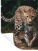 Muurstickers - Sticker Folie - Wilde dieren - Luipaard - Jungle - Natuur - 90x120 cm - Plakfolie - Muurstickers Kinderkamer - Zelfklevend Behang - Zelfklevend behangpapier - Stickerfolie