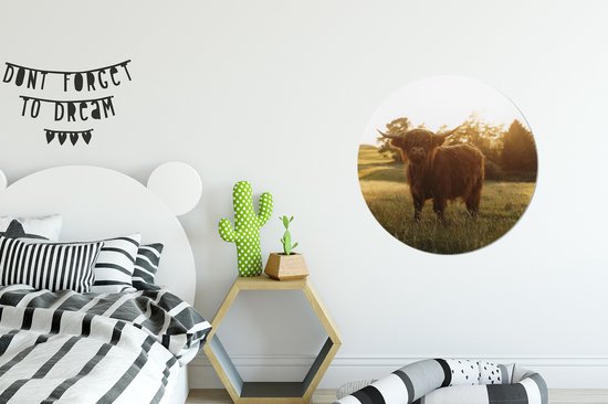 WallCircle - Stickers muraux - Cercle de papier peint - Highlander écossais - Herbe - Soleil - 50x50 cm - Cercle mural - Auto-adhésif - Sticker papier peint rond
