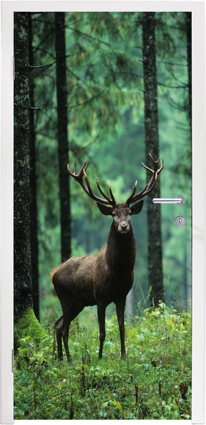Deursticker Hert - Bos - Bomen - Dieren - Natuur - 90x215 cm - Deurposter
