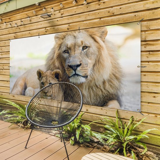 Affiche de clôture Lion - Cub - Portrait - 200x100 cm - Toile de jardin
