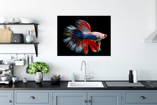 Stickers muraux - Film autocollant - Poisson - Animal marin - Staart - Blauw - 80x60 cm - Film adhésif - Stickers muraux chambre enfant - Papier peint autocollant - Papier peint autocollant - Film autocollant