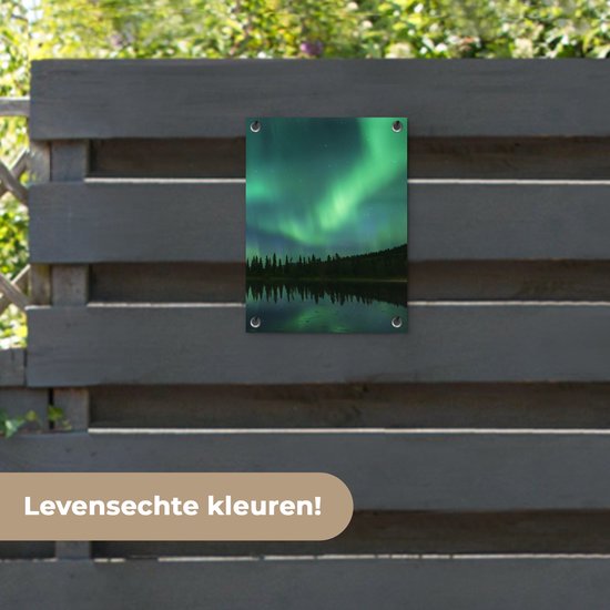 Tuin decoratie Noorderlicht - Bomen - Water - Alaska - 30x40 cm - Tuindoek - Buitenposter