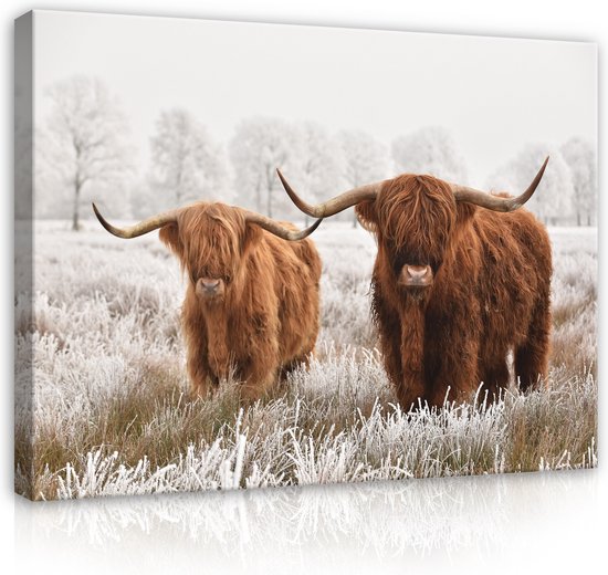 Canvas Schilderij - Schotse Hooglander - Dieren - Landschap - Sneeuw - Winter - Inclusief Ophangframe - 100x75cm (lxb)